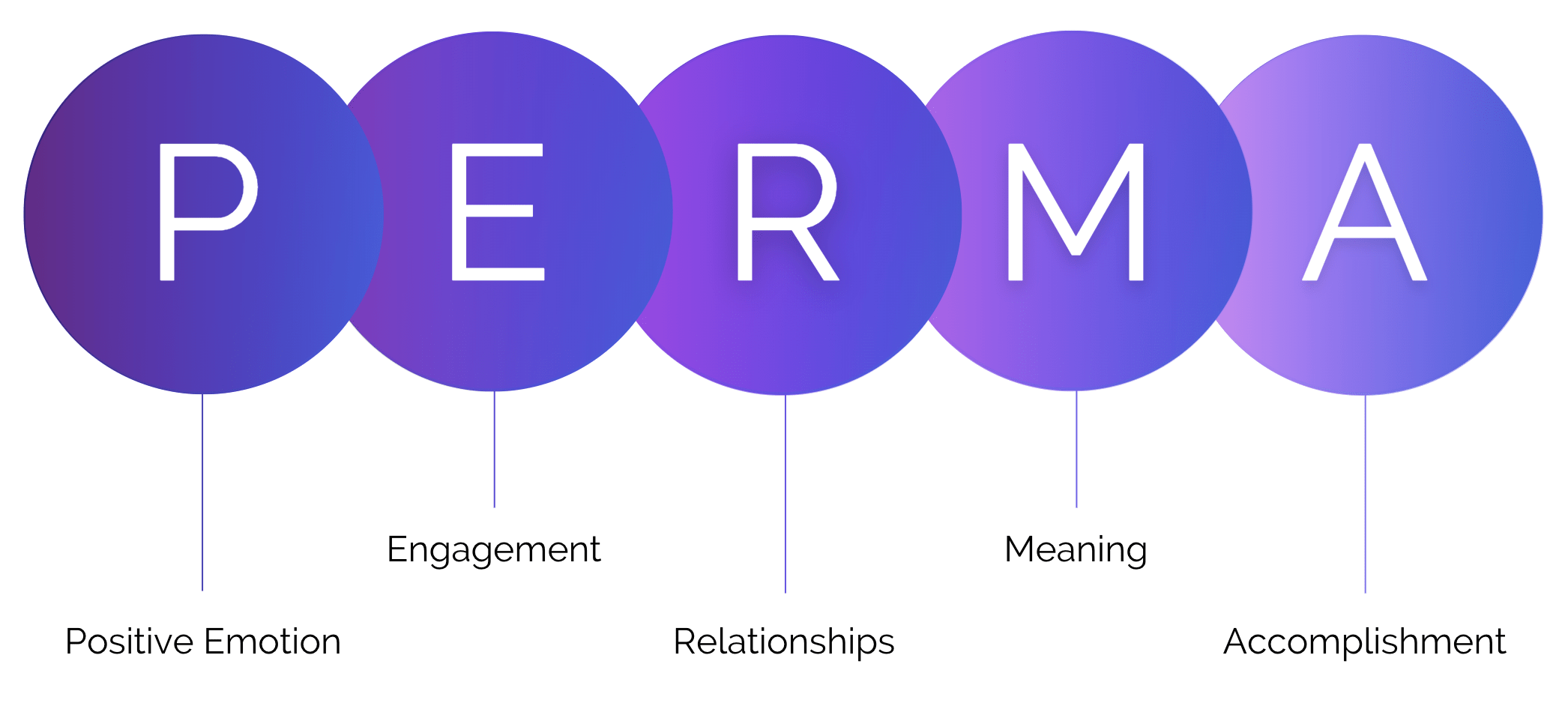 روانشناسی مثبت گرا Perma چیست؟