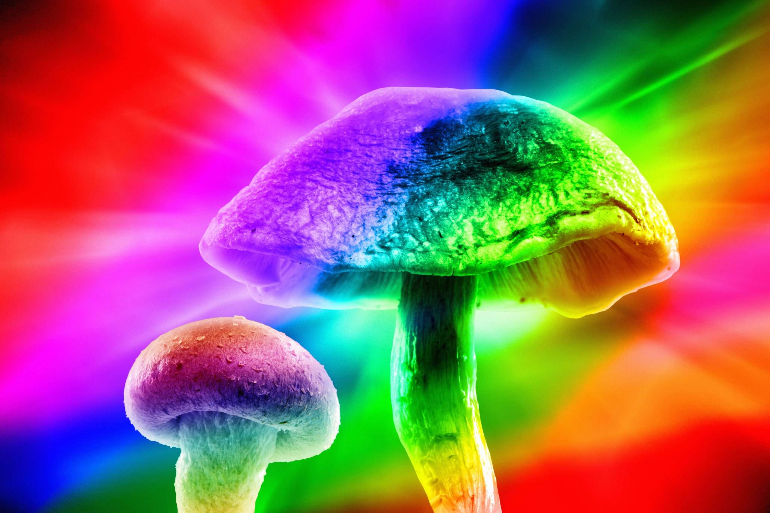 what is magic mushroom psilocybin