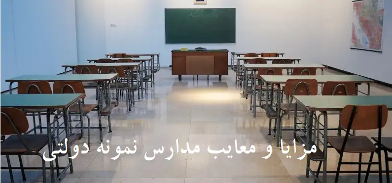 Advantages and disadvantages of public model schools1