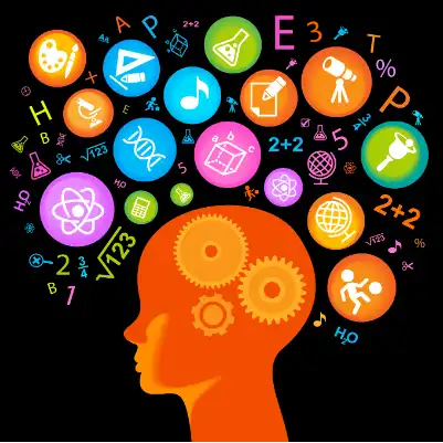 Coefficient of lessons of the state sample exam1