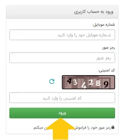 Online system for changing license plates4