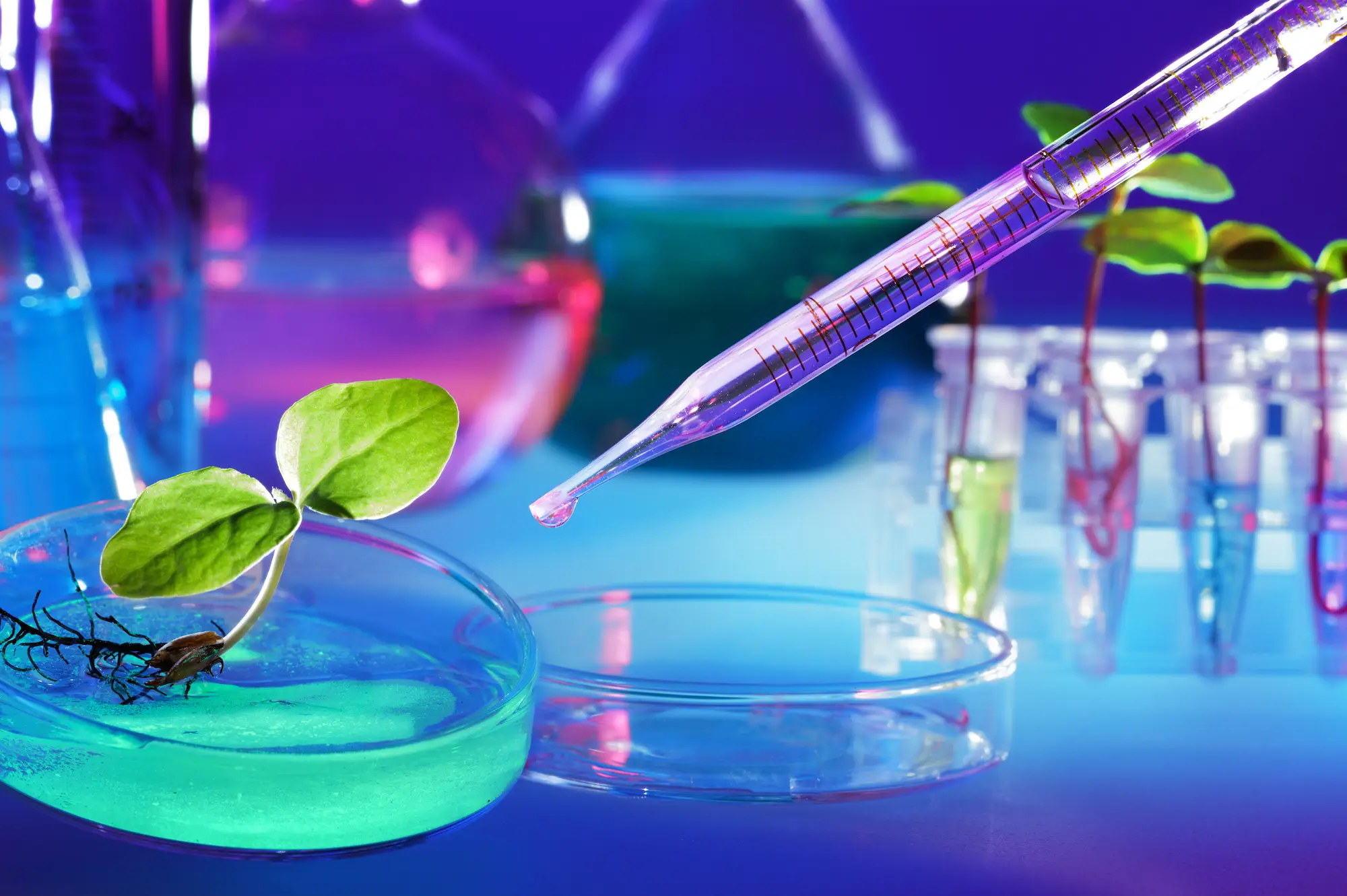 رتبه لازم برای رشته بیوتکنولوژی ۱۴۰۴