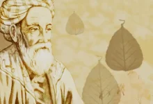 رتبه قبولی ادبیات فارسی ۱۴۰۴