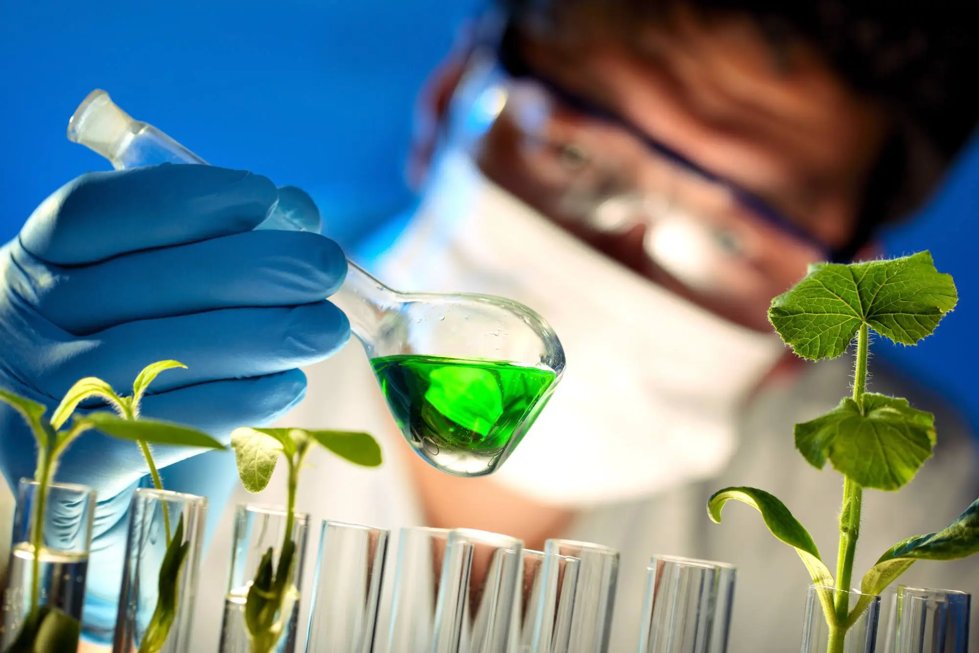 رشته بیوتکنولوژی بدون کنکور 13 رشته بیوتکنولوژی بدون کنکور