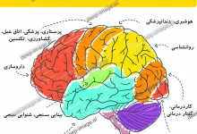 با رتبه زیر ۱۰۰۰ تجربی چی قبول میشم