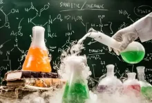 کارنامه های کنکور تجربی نی نی سایت