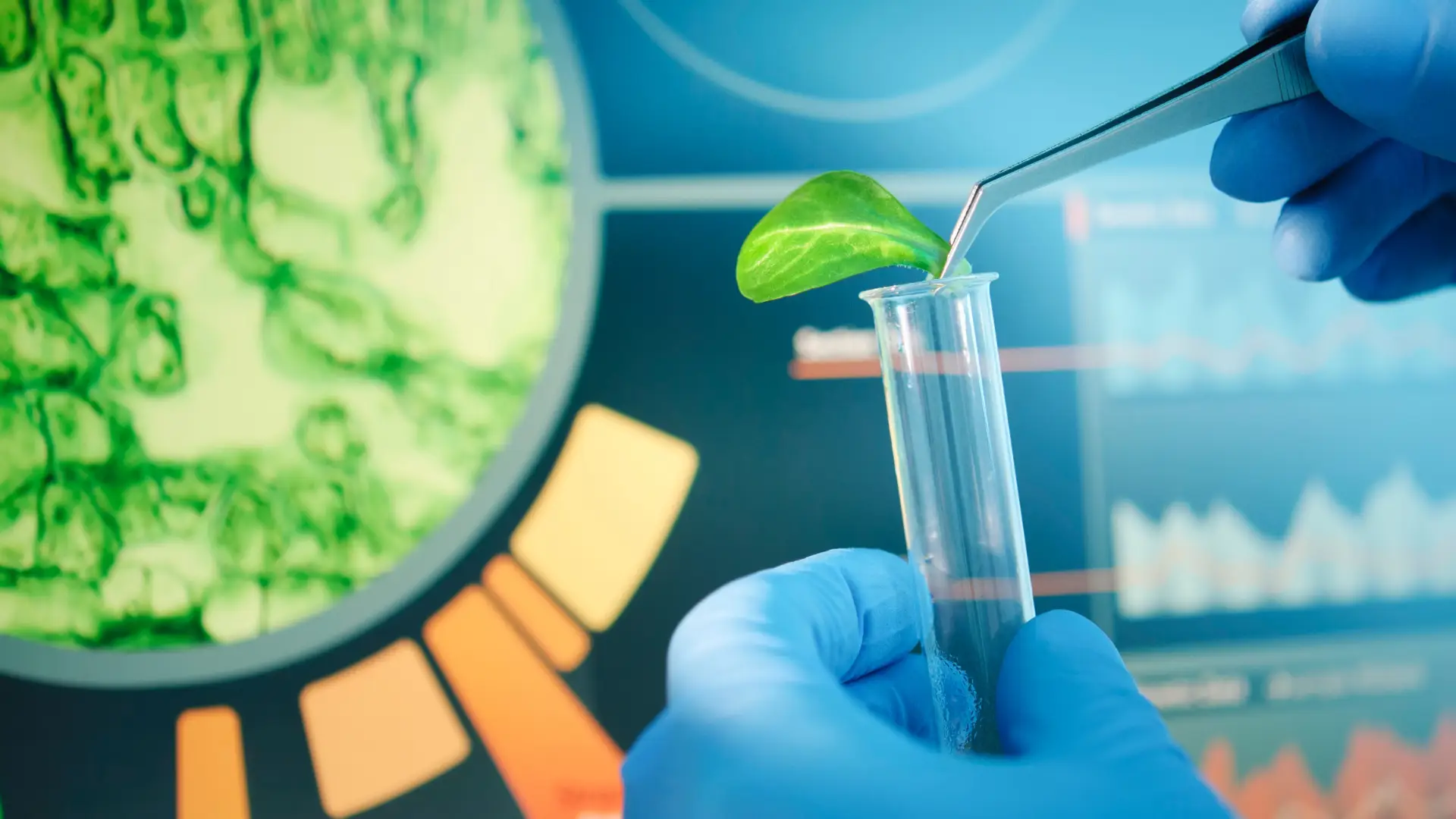 رشته بیوتکنولوژی بدون کنکور 17 رشته بیوتکنولوژی بدون کنکور