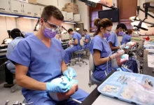 حداقل رتبه لازم برای دندانپزشکی شهید بهشتی