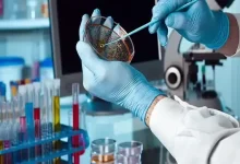 بهترین رشته های بدون کنکور تجربی نی نی سایت