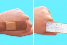 روش تقلب در امتحان تستی انلاین نی نی سایت