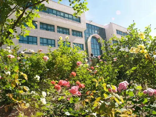 دانشکده علوم و فناوری های همگرا علوم تحقیقات