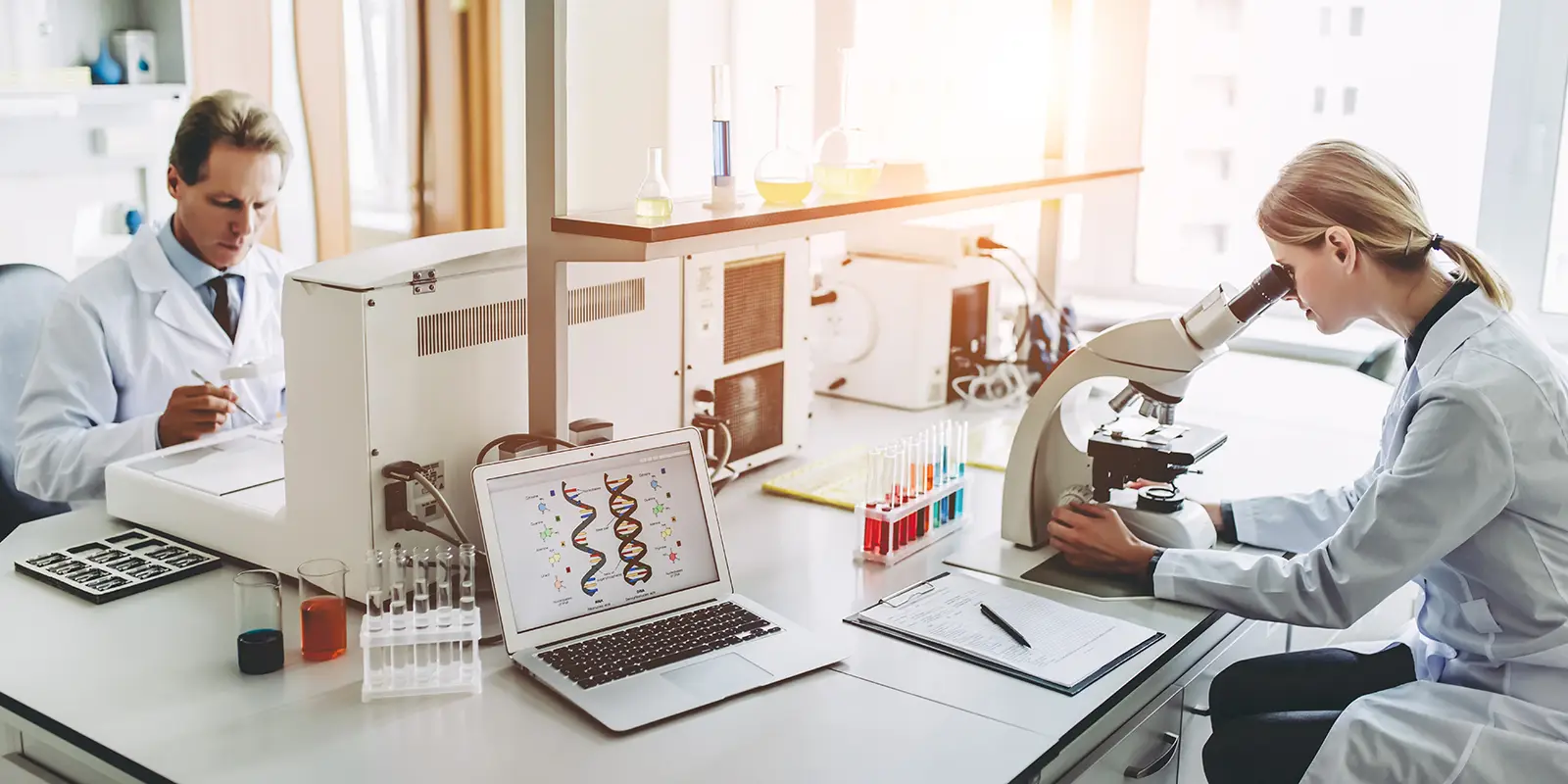 بازار کار رشته گیاه پزشکی