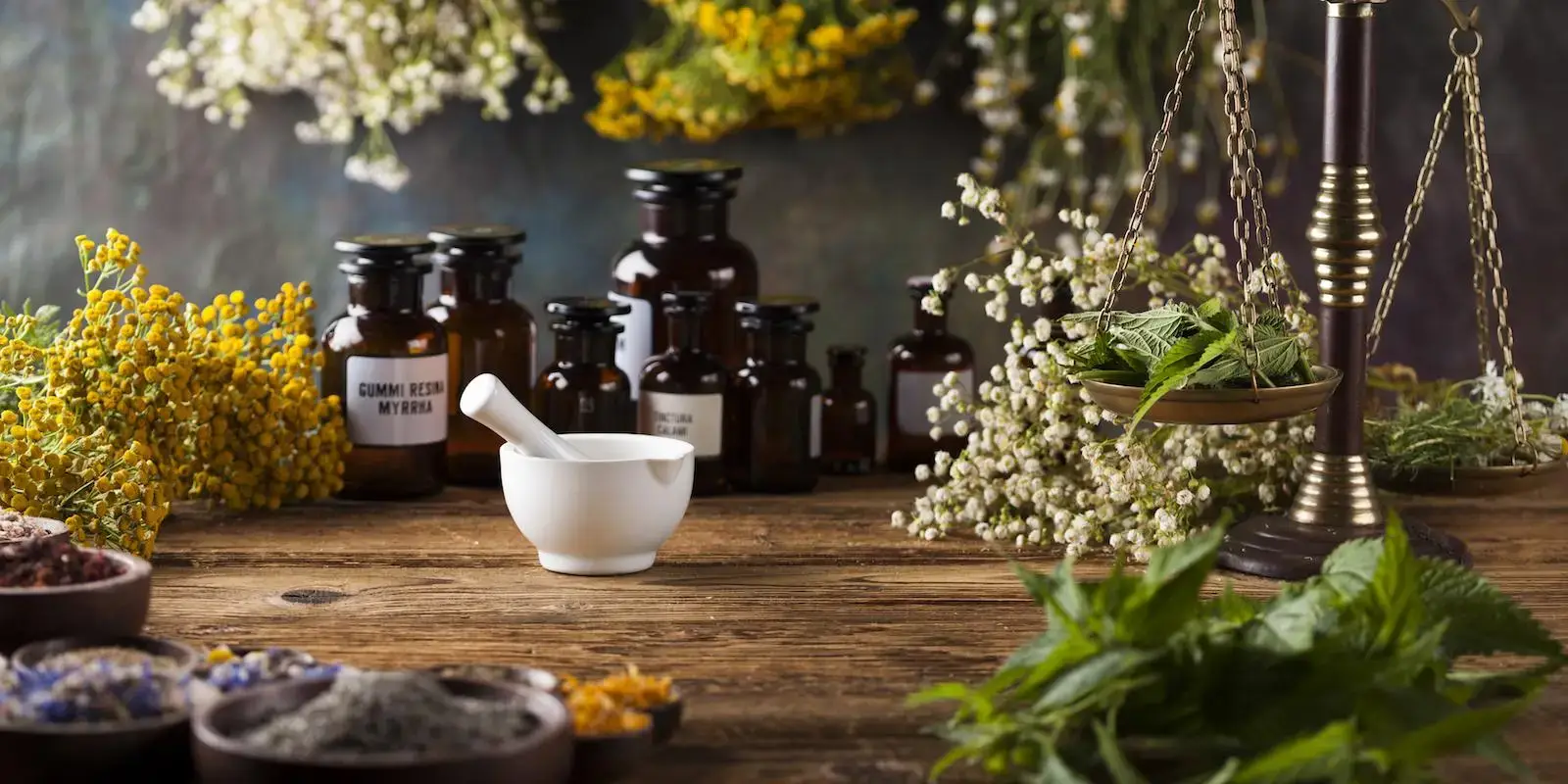 بازار کار رشته گیاه پزشکی