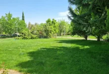 آدرس دانشگاه تحصیلات تکمیلی صنعتی و فناوری پیشرفته کرمان