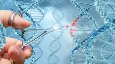 بازار رشته مهندسی تولید و ژنتیک گیاه 14 بازار رشته مهندسی تولید و ژنتیک گیاه