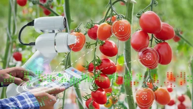 سرفصل های رشته علوم و مهندسی باغبانی 19 سرفصل های رشته علوم و مهندسی باغبانی