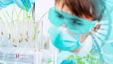 سرفصل های رشته مهندسی تولید و ژنتیک گیاه 12 سرفصل های رشته مهندسی تولید و ژنتیک گیاه