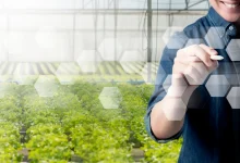 گرایش های رشته زراعت و اصلاح نباتات