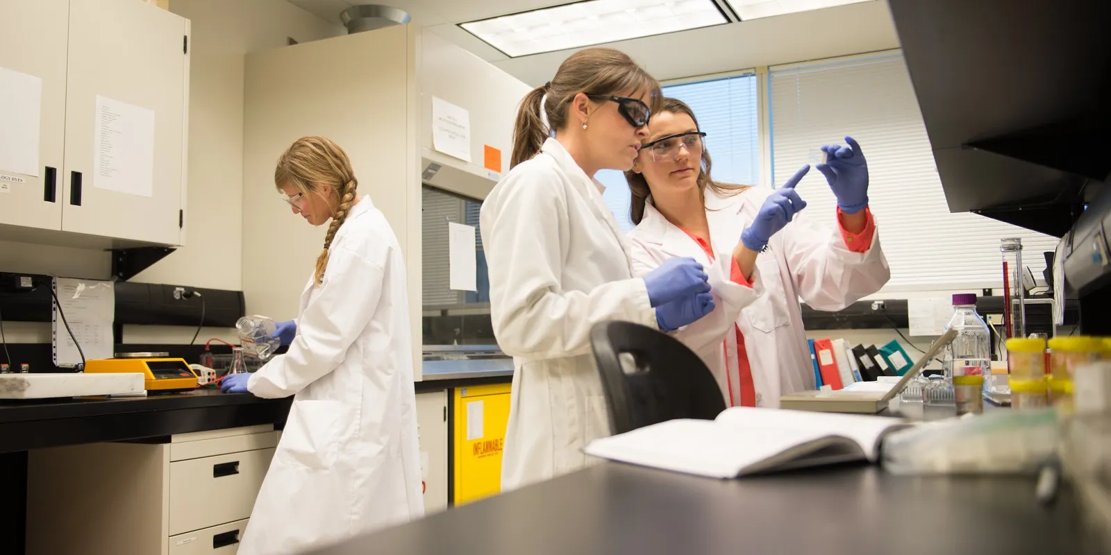 گرایش های رشته مهندسی پزشکی 16 گرایش های رشته مهندسی پزشکی