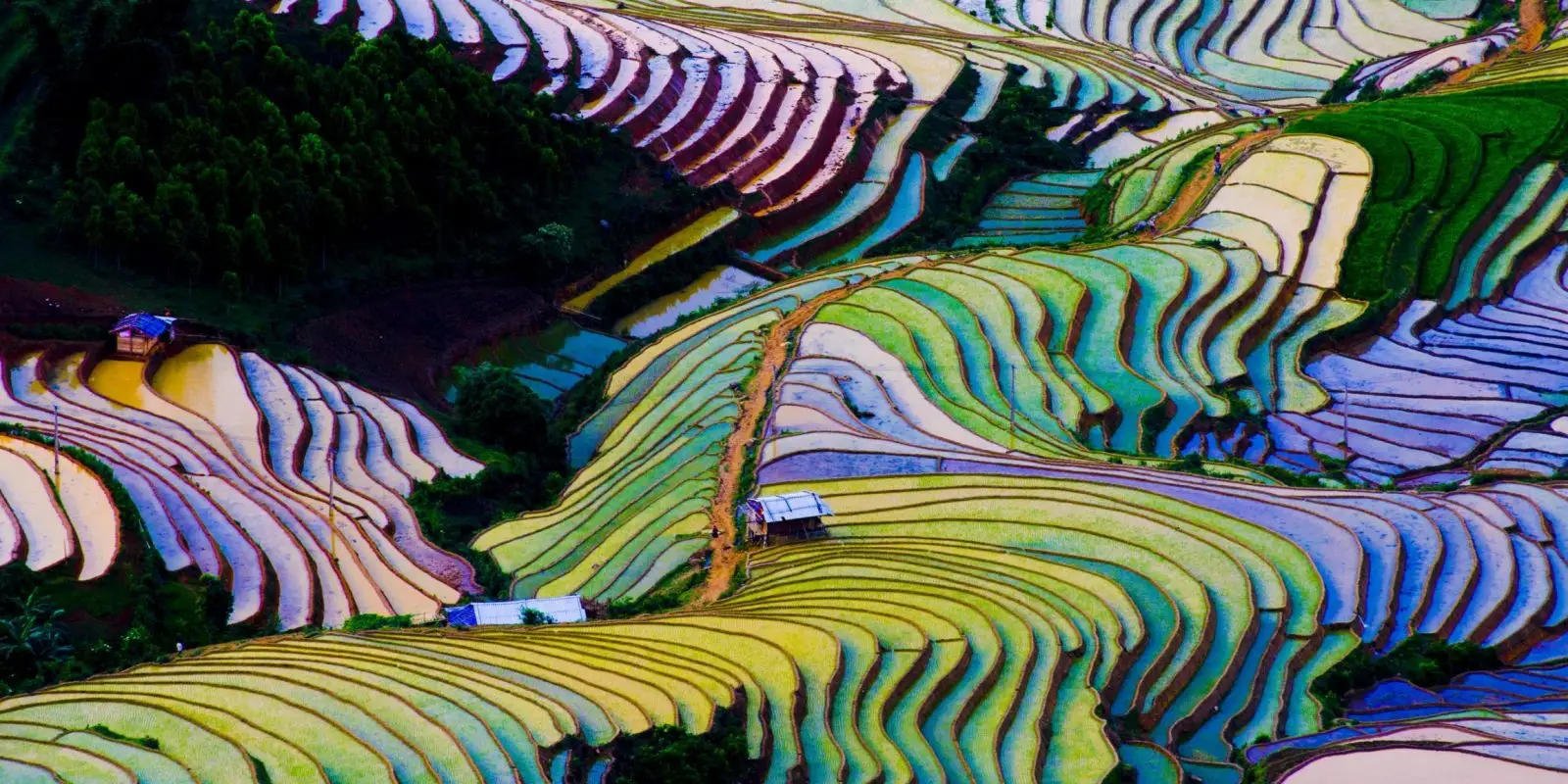 سرفصل های رشته هنرهای تجسمی 12 سرفصل های رشته هنرهای تجسمی