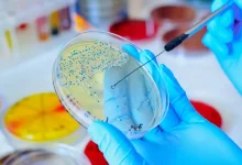 رشته میکروبیولوژی چیست