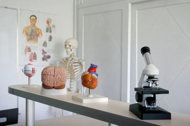 رشته تجربی چه شغل هایی دارد