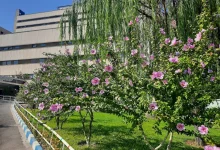 www bmsu ac ir مصاحبه