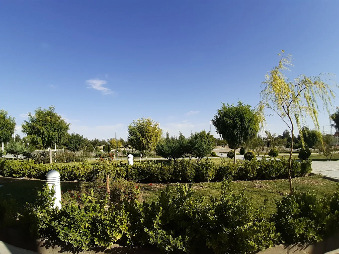 سایت گلستان دانشگاه دامغان