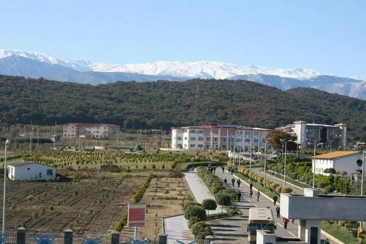 نتایج ذخیره دانشگاه آزاد نی نی سایت 13 نتایج ذخیره دانشگاه آزاد نی نی سایت