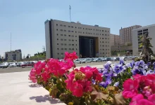 سایت دانشگاه علوم پزشکی بقیة الله