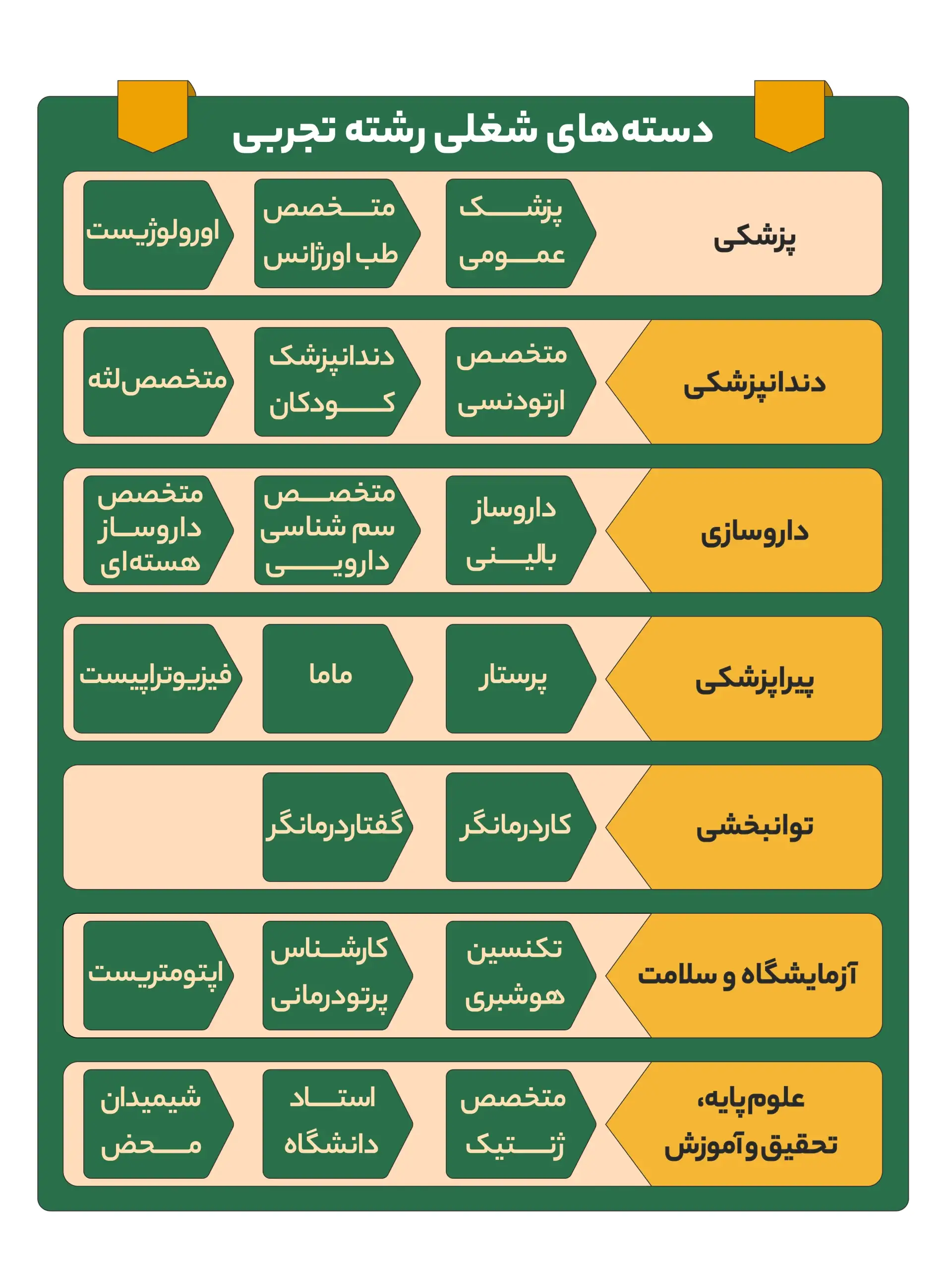 از چه رشته هایی می توان به پزشکی تغییر رشته داد 15 از چه رشته هایی می توان به پزشکی تغییر رشته داد