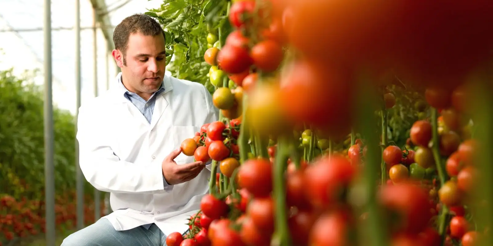 منابع کنکور کارشناسی ارشد مهندسی صنایع غذایی ۱۴۰۵