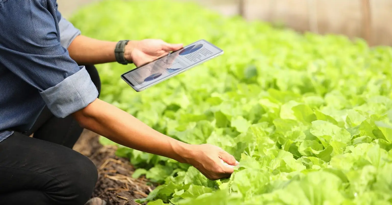 دستگاه های اجرایی شامل چه شغل هایی است